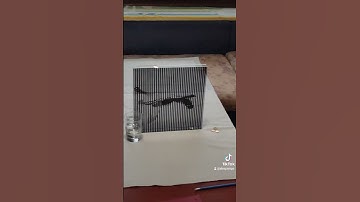 scanimation #lenticular swan