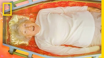 This Amazing Musical 