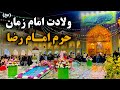 امشب حرم غرق نور شب ولادت امام زمان عج در حرم امام رضا Imam Reza Shrine Mashhad Iran 2026 