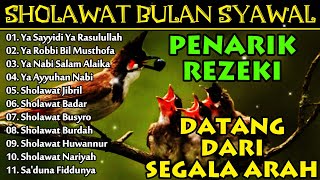 SHOLAWAT BULAN SYAWAL PENARIK REZEKI BERLIMPAH TAHUN 2024 - SHOLAWAT JIBRIL MERDU, NARIYAH, BURDAH