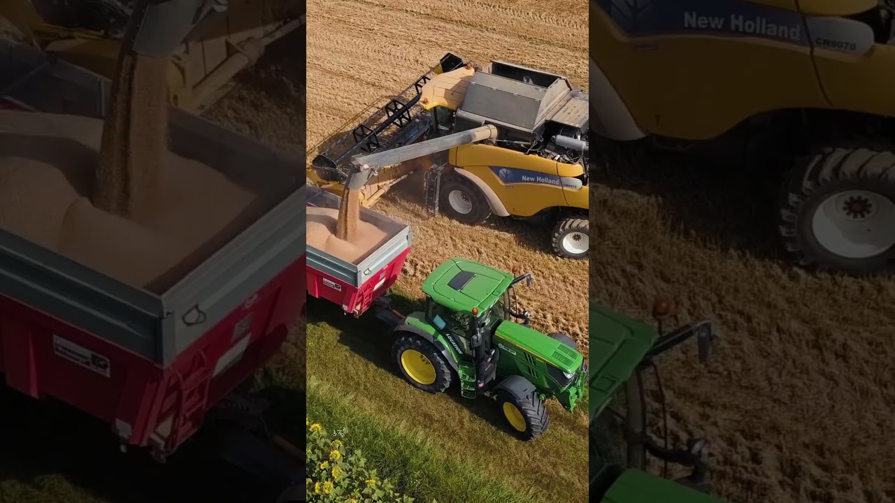 A l'origine de votre pain, il y a 400 agriculteurs
