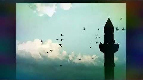 اذكار النوم / خواتيم البقرة / سورة الملك / سورة السجدة)
