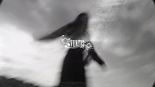 SIN DAVIS type beat amore