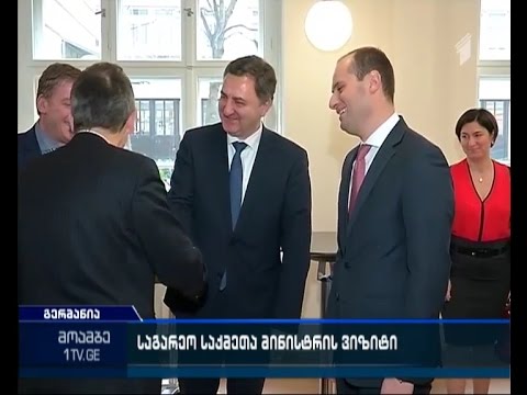 მიხეილ ჯანელიძე გერმანელ კოლეგას შეხვდება