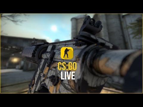 CSGO სამი მუშკეტერი არა და..