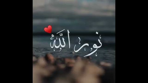 اجمل حالات واتس اب قران كريم بصوت جميل جدا