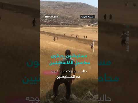 مستوطنون يشعلون النار في المحاصيل الزراعية للفلسطينيين بموسم الحصاد