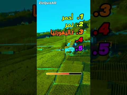 إذا قلت نفس إجابتي فأنت خاسر في التحدي 