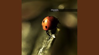 Download Lagu Forest Fish Download Lagu Forest Fish