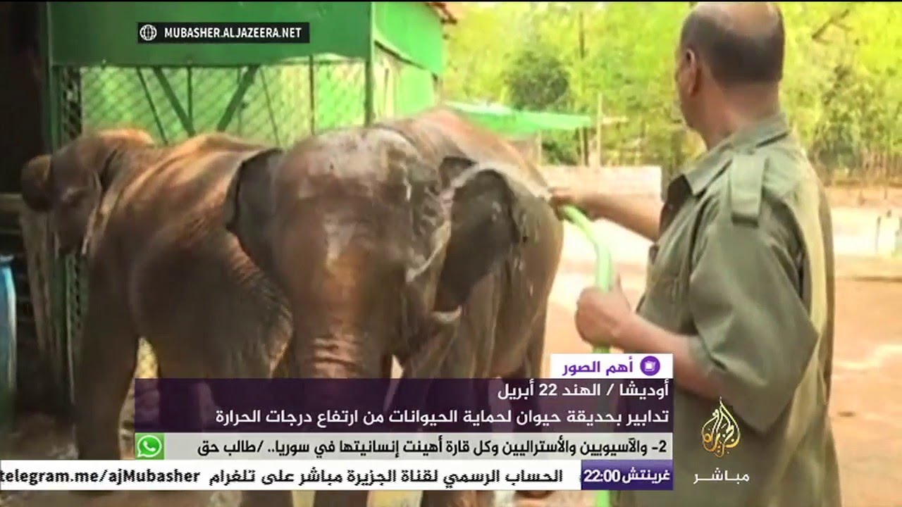 رشاشات مياه باردة لتلطيف درجة الحرارة في حديقة حيوان بالهند