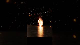 A profound unique bound #animals #nature #wildlife #shorts #beast #dog