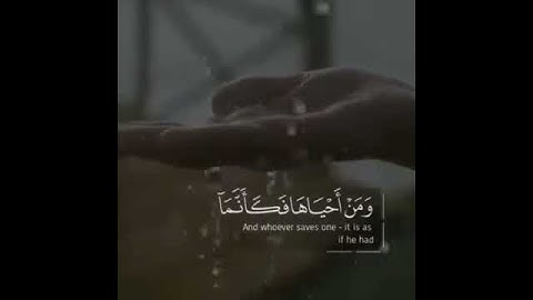 . اكتب شيء تؤجر عليه  القارئ/ طارق_محمد 🎧✨ سورة_المائدة