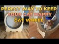 Perfect Way to Keep Your Cat ACTIVE | Cat Wheel |