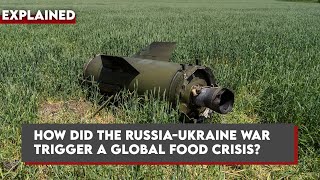 Explained: How the Russia-Ukraine war triggered a global food crisis