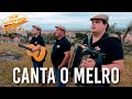 Trio Alvoroço - Canta o Melro