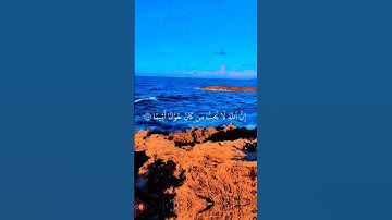 #تلاوة_خاشعة #القرآن_الكريم #المصحف #اكسبلور