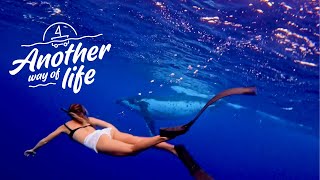 PALMERSTON ISLAND! Exploring islands and swimming with whales I Ep 56
