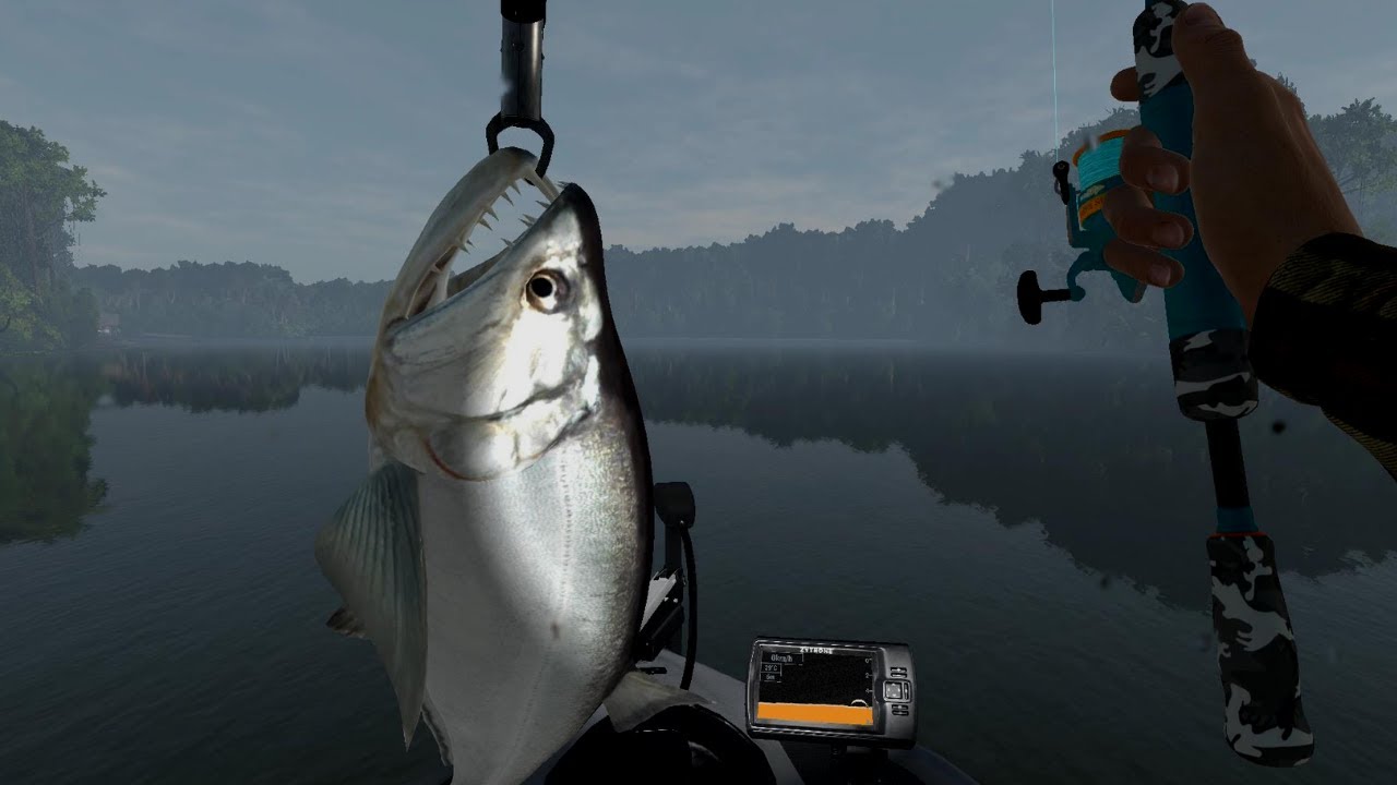 Fishing Trophy Arapaima, Payara, Piranha, Arowana, MakuMaku