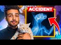 Mon chaton a eu un accident fracture