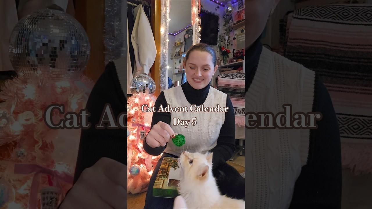Day 5 of the Cat Advent Calendar! 😺🎄 #Cat #adventcalendar #vlog #unboxing