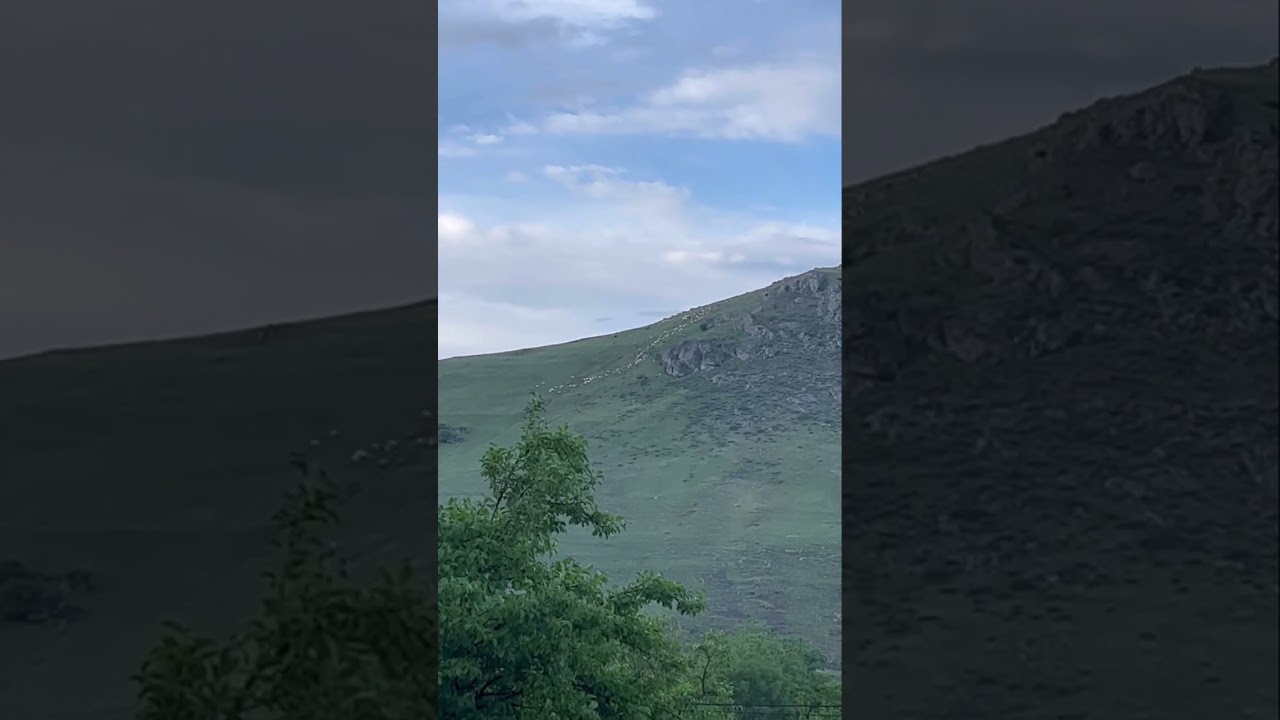 Dmanisi - Qızılkilsə kəndi 