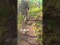The Ukrainian military continues to fight on the front lines of their defense #shorts
