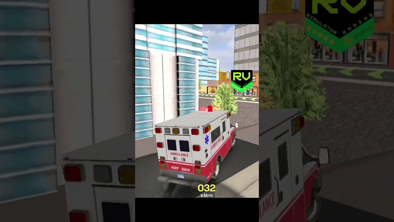 This Ambulance Rescue Turned Into Chaos