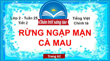 RỪNG NGẬP MẶN CÀ MAU (Tiết 2) | Tuần 25 | Chính Tả | Tiếng Việt Lớp 2 Chân Trời Sáng Tạo