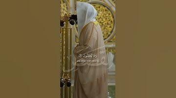 ما تيسر من سورة القصص | تلاوة فضيلة الشيخ د.#عبدالله_القرافي