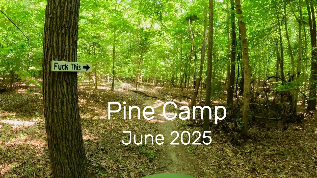 A Bucolic Pine Camp Tour