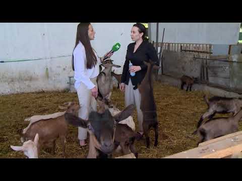 Video: A Ka Qytete Të Së Ardhmes Pas Mbarimit Të Botës?