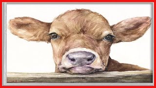 Stupell Industries Cute Baby Cow Animal Watercolor Painting, Design by George Dyachenko Gray Framed