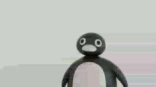 Noot Noot In Reverse