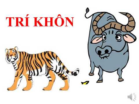 Kể chuyện lớp 1 tuần 27 Trí khôn