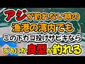 アジが釣れない時の漁港湾内でも、この下カゴ投げサビキ仕掛けなら、どうにか良型が釣れる