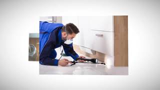 Sydney Southside - Pro Pest Control Sydney