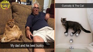 Funniest Cat Snapchats Ever by Tooco 45,700 views 5 years ago 17 minutes