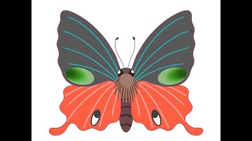 How to Draw an Easy Butterfly - Autodesk SketchBook Tutorial