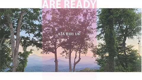 ARE Companion: AIA B101 Articles 1+2