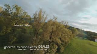 APICOLA360 Intro WEBsite SD 480p