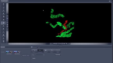 ZEN. How to export the z stack