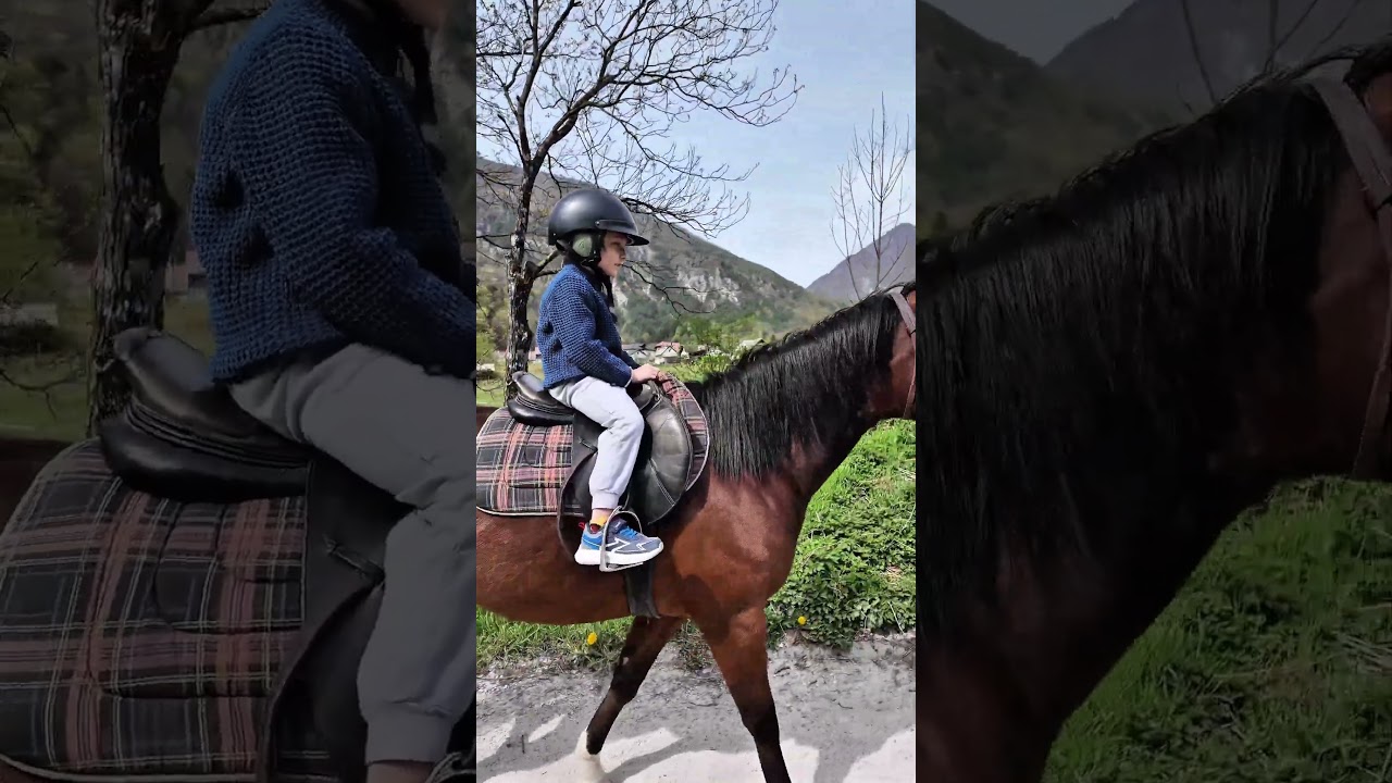 Horseback riding, Slovenia