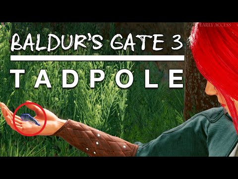 Baldur's Gate 3 Tadpole