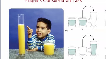 Life Span - Chapter 7