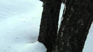 MVI_9807.AVI