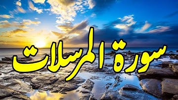 سورة المرسلات " تامر فاروق"