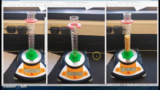 Size of a Mole Lab Video