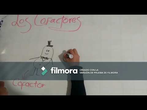 Vídeo: Diferencia Entre Coenzima Y Cofactor