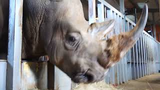 African Experiences At Noahs Ark Zoo Farm