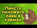 Просто положите лавровый лист в карман и начнут приходить деньги из ниоткуда